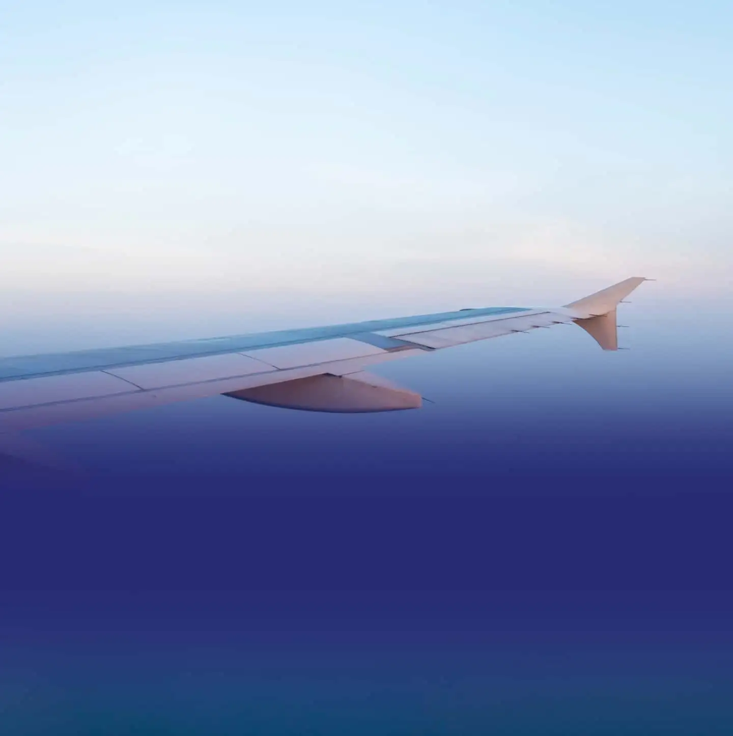 wing