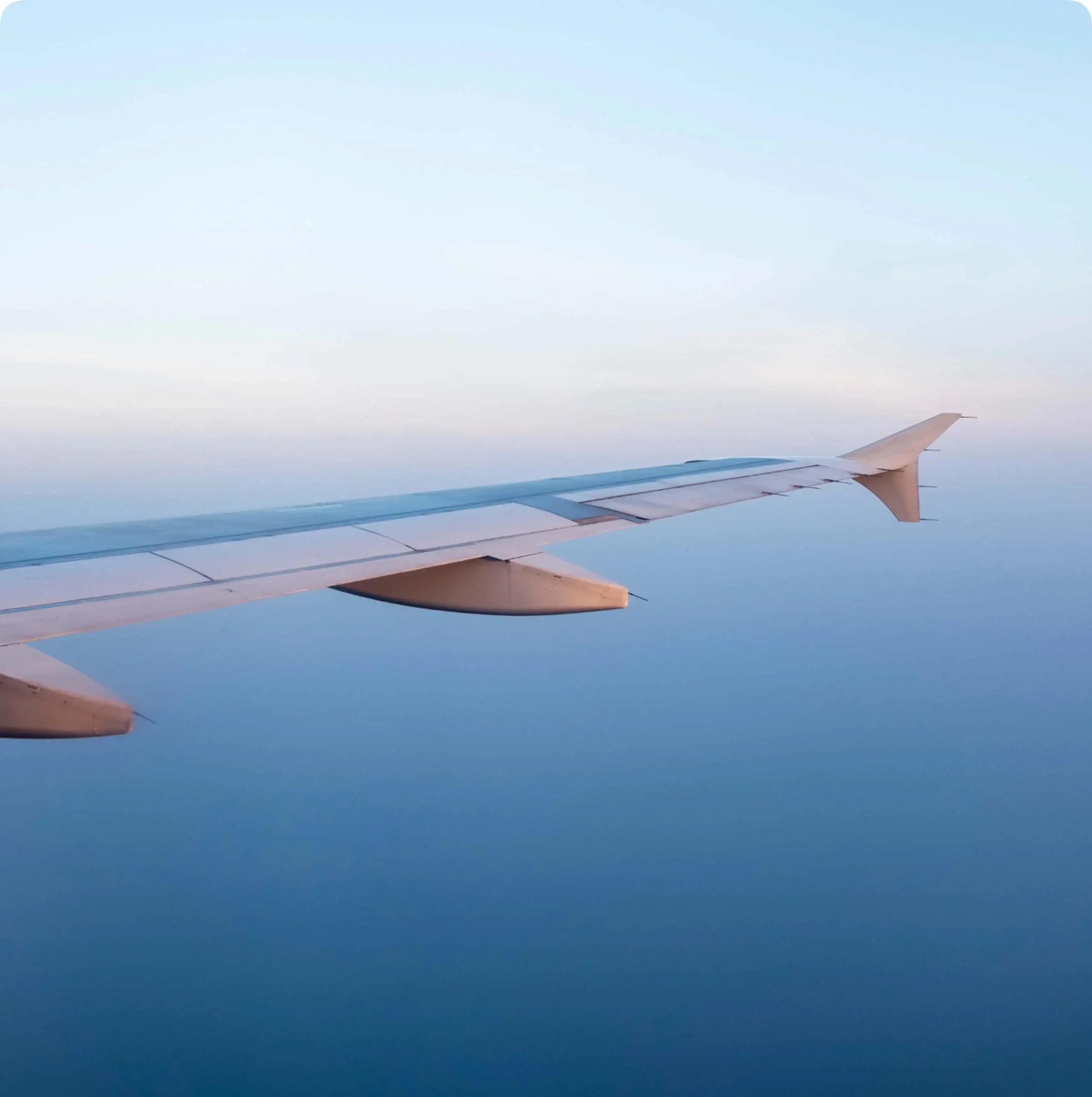 wing